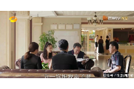 南澳企业清欠服务